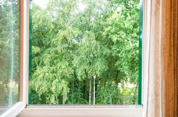 Природний пейзаж з видом через вікно з зеленими деревами — стокове фото