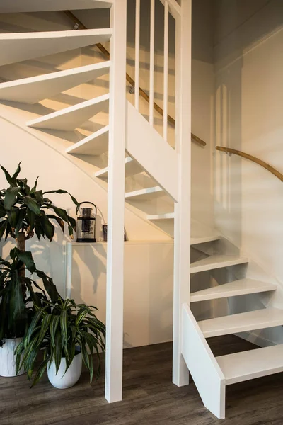 White Stairs on wood and white wall with green plants modern design — Stock Photo, Image