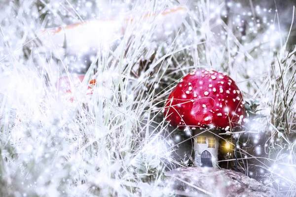 红色蘑菇房子与白色斑点片在幻想森林与雪和光 — 图库照片