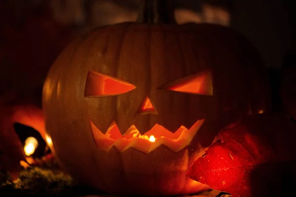 Abóboras de Halloween em madeira em uma floresta assustadora à noite, com fundo de luz assustador — Fotografia de Stock