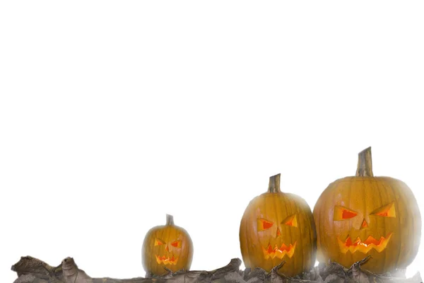 Linterna de gato de cabeza de calabaza de Halloween con velas ardientes aisladas sobre fondo blanco — Foto de Stock