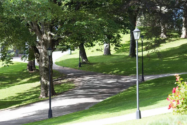 Green park tree outdoor with bench sunlight,beautiful park in the city — Stock Photo, Image