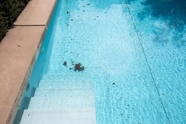 Dirty swimming pool which need to be cleaned close-up