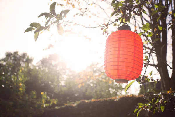 Beautiful colorful lanterns hanging on the trees with sunlight on a sunny day — Stock Photo, Image