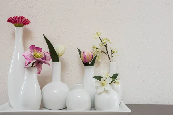 different pink flowers in vases on white background