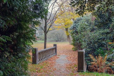 Old Stone Bridge yeşil park