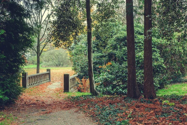 Old Stone Bridge in a green park — Stock Photo, Image