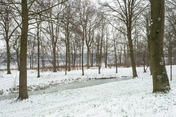 Paysage hivernal avec lac et arbres couverts de neige, saison hivernale blanche — Photo