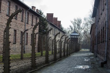 Polonya 'da Auschwitz 'in Nazi toplama kampı, 12 Mart 2019