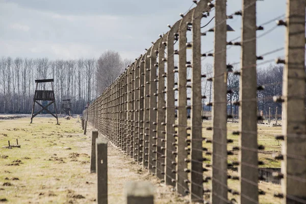 Sebuah menara pengawas di kamp konsentrasi Auschwitz Birkenau Polen, 12 Maret 2019 Stok Lukisan  