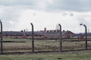 Auschwitz II Birkenau, Birkenau 'da kışla harabeleri. Soba ve bacalar tüm bu eski ahşap toplama kampı kışlaları kalır 12 Mart, 2019