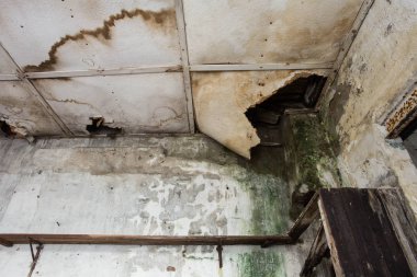 Eski terk edilmiş evde su sızıntısı hasarlı tavan
