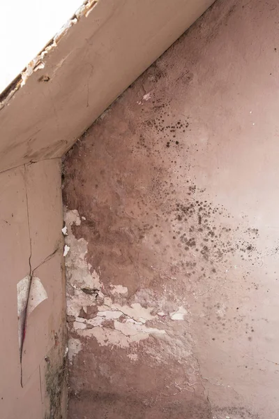 Water damage causing mold growth on the interior walls of a property — Stock Photo, Image