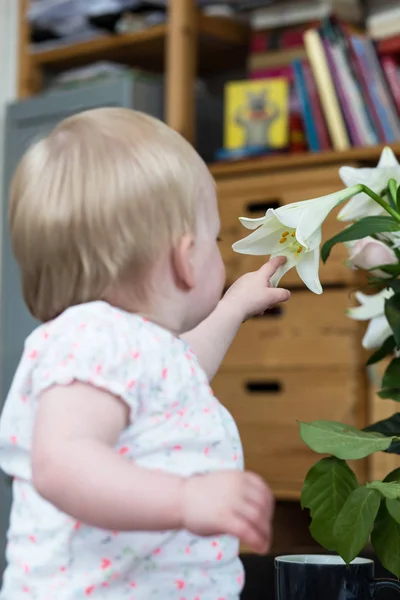 Bonito bebê menina inspecionando uma flor branca — Fotografia de Stock