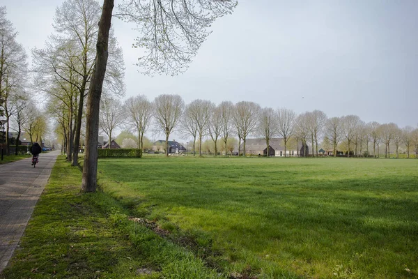 Groen veld en kleine dorp in Nederland, mensen op de fiets in boerderij landschap — Stockfoto