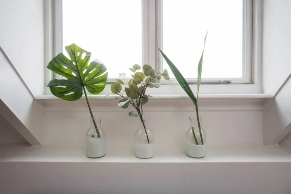 O interior elegante do jardim em casa com diferentes vasos de cerâmica e concreto no peitoril da janela . — Fotografia de Stock