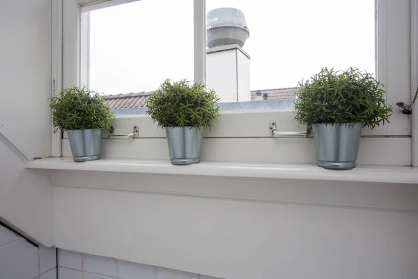 L'intérieur élégant du jardin avec différents pots en céramique et en béton sur le rebord de la fenêtre . — Photo