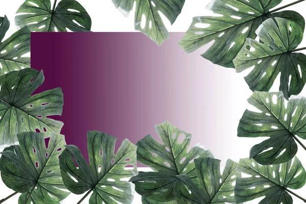 白い背景にカラフルな熱帯の葉で作られた創造的なレイアウト。コピースペースと最小限の夏のエキゾチックなコンセプト。境界配置. — ストック写真