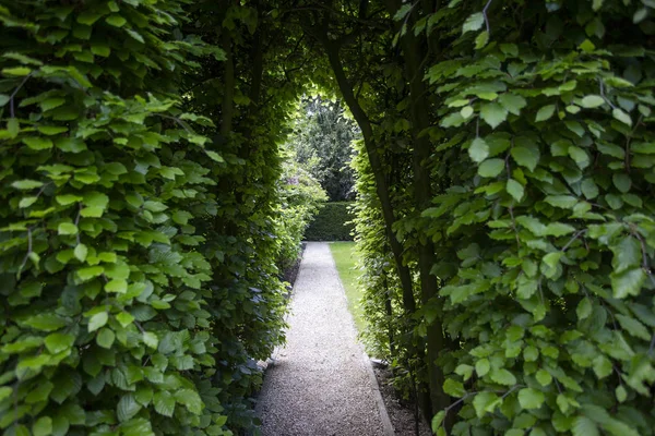 Passerelle avec arbres verts dans un beau jardin — Photo