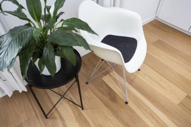 yeşil bitki modern yeşil iç plastik kova sandalye