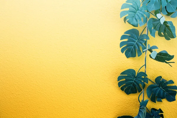 Parede pintada de amarelo brilhante emoldurada com folhas de palma tropicais verdes, luz solar com padrões de sombras, fundo de verão. design retro — Fotografia de Stock