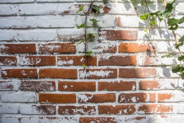 Dökülen alçı ve desenli eski, eski, kirli tuğla duvarın arka planı