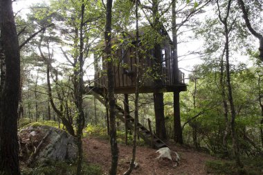 Norveç'te Treehouse yeşil bir ormanda, uyku konaklama Eylül 2018