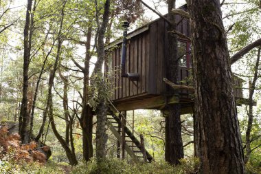 Norveç'te Treehouse yeşil bir ormanda, uyku konaklama Eylül 2018