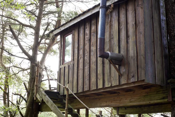 Treehouse en Noruega en un bosque verde, alojamiento para dormir septiembre 2018 —  Fotos de Stock