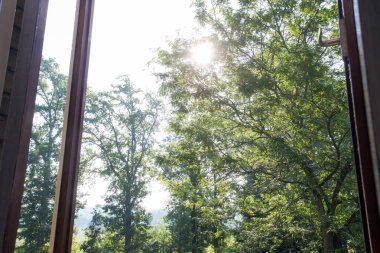 Pencere yeşil ağaçlar ve güneş ışığı ağaçlar ve açık, Güzel yeşil manzara görünümü odaklanmak açık