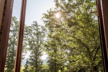 Pencere yeşil ağaçlar ve güneş ışığı ağaçlar ve açık, Güzel yeşil manzara görünümü odaklanmak açık