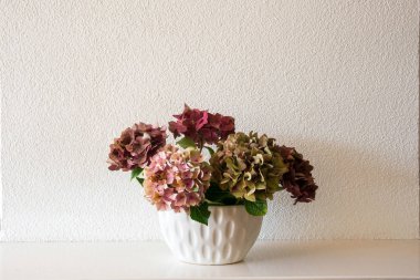 Beyaz duvarlı beyaz vazoda taze doğal çiçekler, beyaz iç dekor modern temiz tasarım