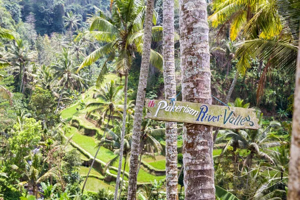 Padi Field, Gunung Kawi, Bali, Indonesia pakerisan river valley sign — 图库照片