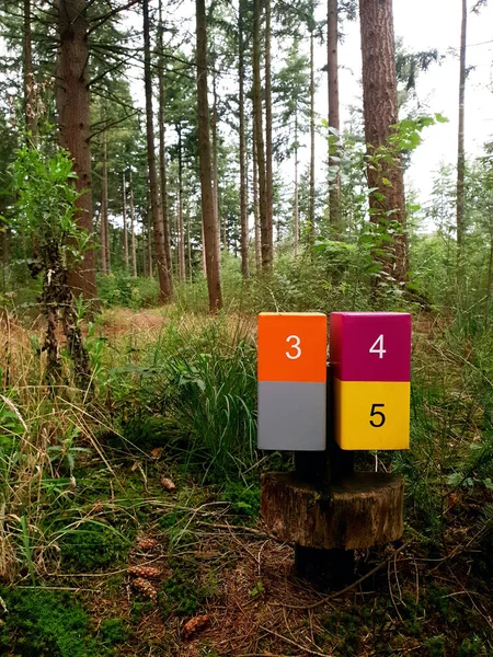 wooden sign post mile marker on a hiking jogging trail in a forest