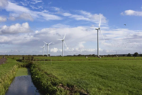 Eco power in nature landscape, Dutch landscape with windmills and cows grazing