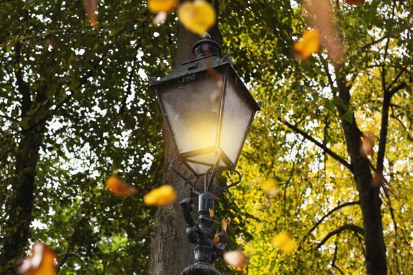 Καίγοντας Lamppost με φύλλα που πέφτουν το φθινόπωρο, πολύχρωμα χρυσά, πορτοκαλί και κίτρινα χρώματα σε ένα κοντινό δασικό τοπίο — Φωτογραφία Αρχείου