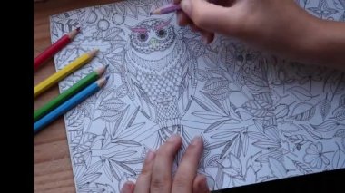Kalem tutan ve yetişkin boyama kitabını boyayan bir elin renkli videosu. yakın plan