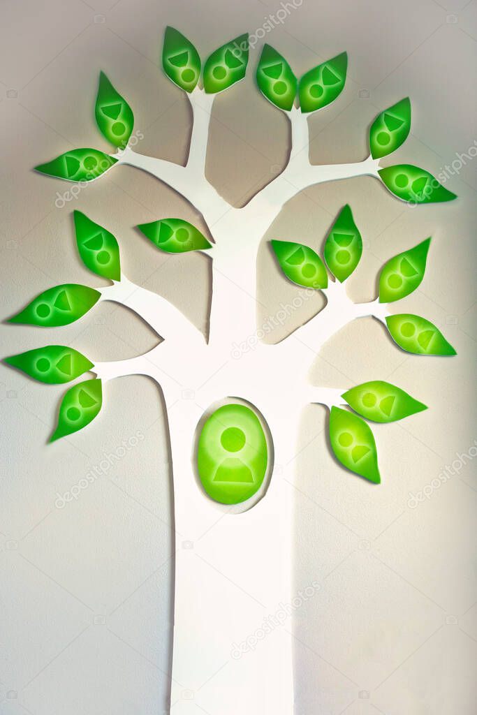 Image of Tree with green leaves with people, family tree or business tree concept on wall background