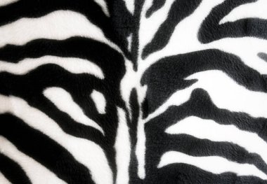 Zebra derisi arkaplan dokusu, siyah beyaz çizgiler kumaş tarzı retro