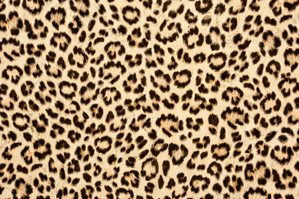 Textura de fondo de piel de leopardo, diseño retro piel real, pelo animail salvaje primer plano moderno —  Fotos de Stock