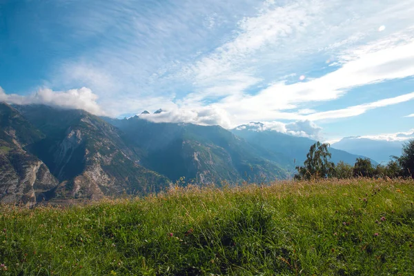 Verde Paisagem de montanha no verão com flores e céu azul nos Alpes Suíça belo fundo em um dia ensolarado beleza — Fotografia de Stock