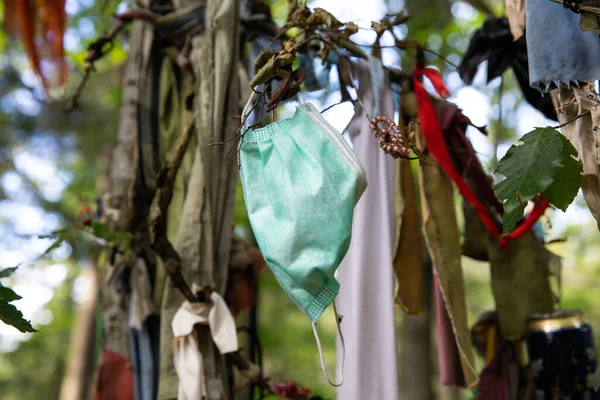 Varios recogidos basura del bosque colgando en un árbol con máscara médica y plástico, problemas ambientales —  Fotos de Stock