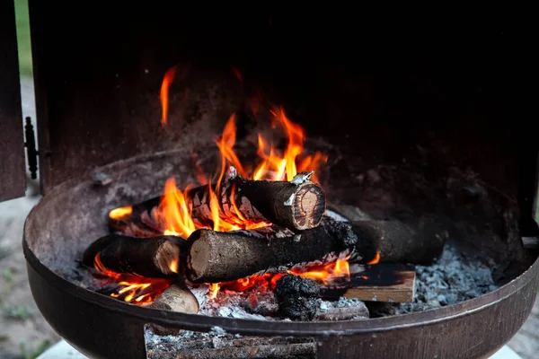 Campfire in metal container, fire ring closeup of burning logs and bright flames of fire