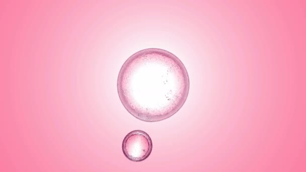 抽象的液体气泡在粉红色柔和的背景 无缝镜头 — 图库视频影像