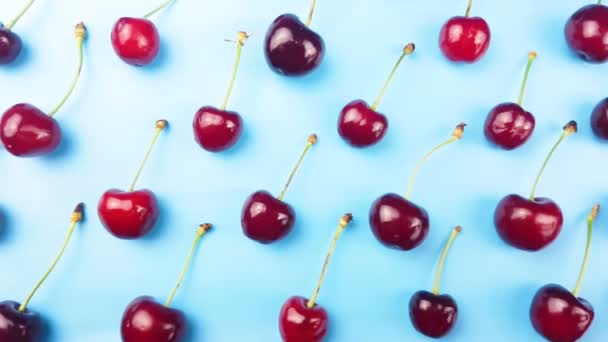 Sweet Cherry Ovoce Pastelově Modré Pozadí — Stock video
