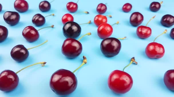Sweet Cherry Fruit Pastel Blue Background — Stock Video