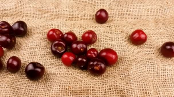 Cereza Roja Fresca Superficie Del Saco — Vídeos de Stock