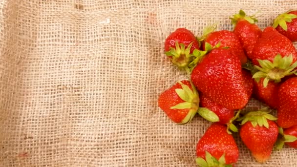 红色新鲜接近草莓在麻布织品表面 — 图库视频影像
