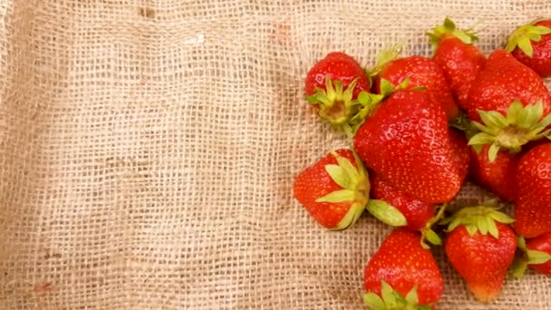 Rouge Frais Gros Plan Fraise Sur Surface Tissu Sac — Video