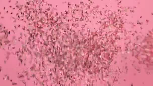 面白いパステル ピンク あるいはばら色の金紙吹雪爆発と落ちる 緑色の画面アニメーション映像 — ストック動画